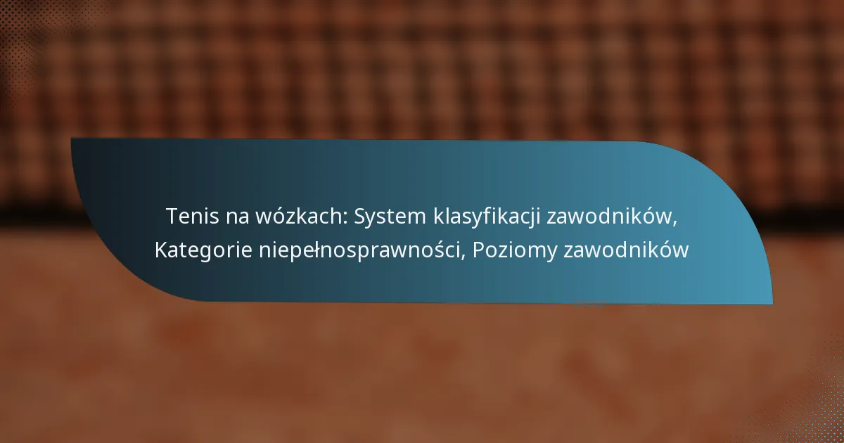 Tenis na wózkach: System klasyfikacji zawodników, Kategorie niepełnosprawności, Poziomy zawodników